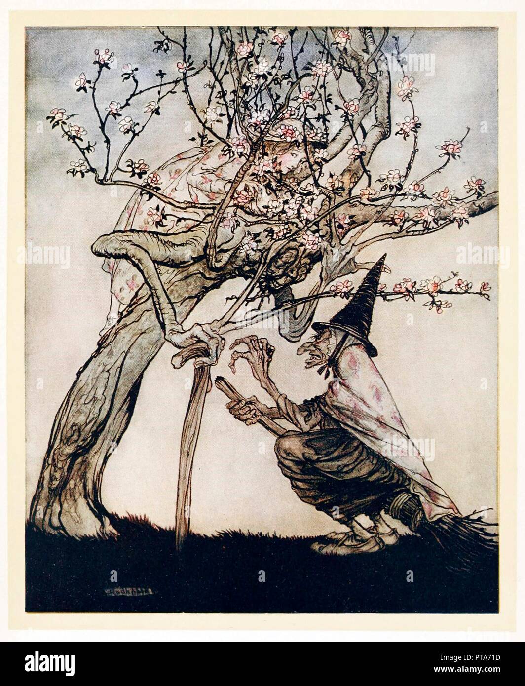 Tree of Mine! O tree of mine! Have you seen my naughty little maid?, English Fairy Tales, pub 1922. Creator: Arthur Rackham (1867 - 1939). Stock Photo