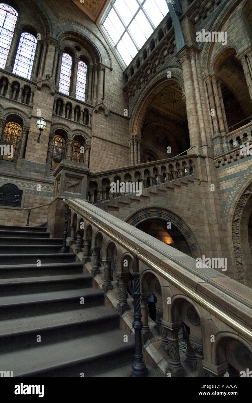 Nat His Museum, 2005. Creator Ethel Davies Stock Photo Alamy