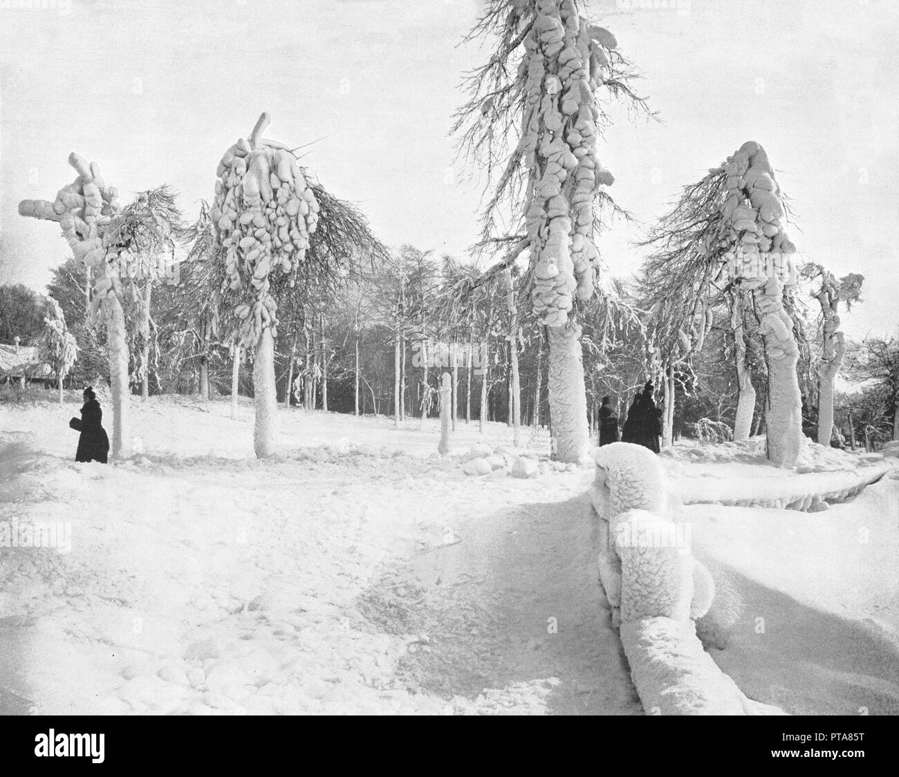 Frost Work in Prospect Park, Niagara, USA, c1900. Creator: Unknown ...