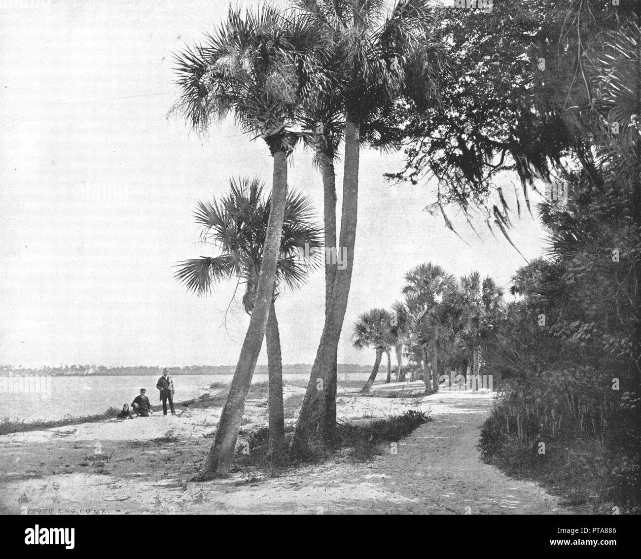 Indian River, Florida, USA, c1900. Creator Unknown Stock Photo Alamy