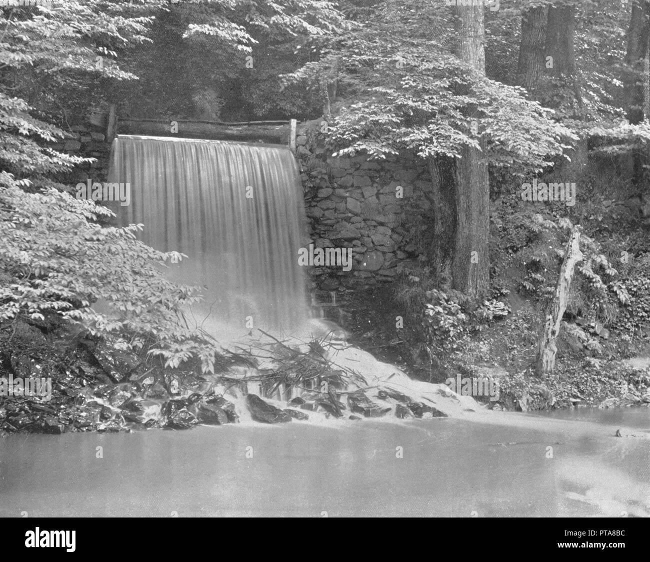 Cromwell Falls : The Creek