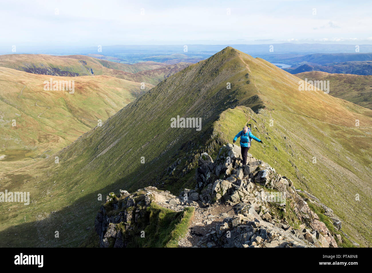 Catstye cam hi-res stock photography and images - Alamy