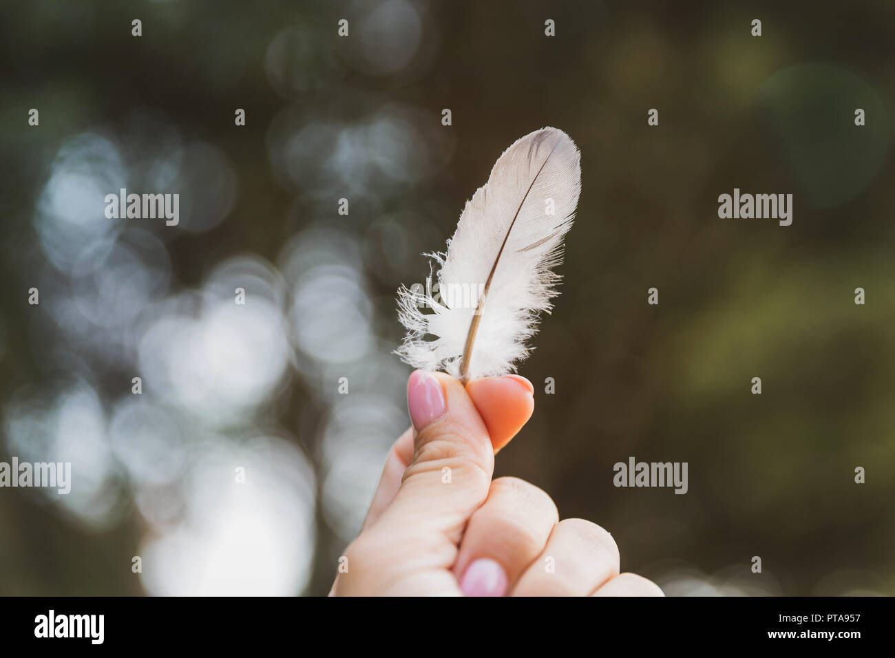 White beautiful feather in woman's hands Stock Photo