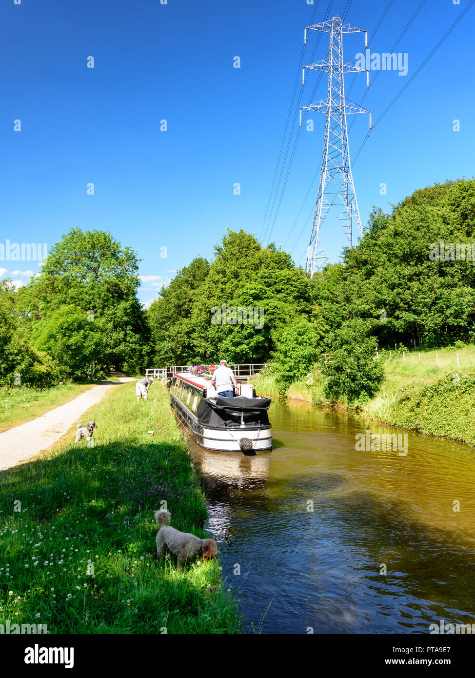 Shipley, England - June 30, 2015: A traditional narrowboat travels along the Leeds and Liverpool Canal on a sunny summer day, while wakers and dogs pa Stock Photo
