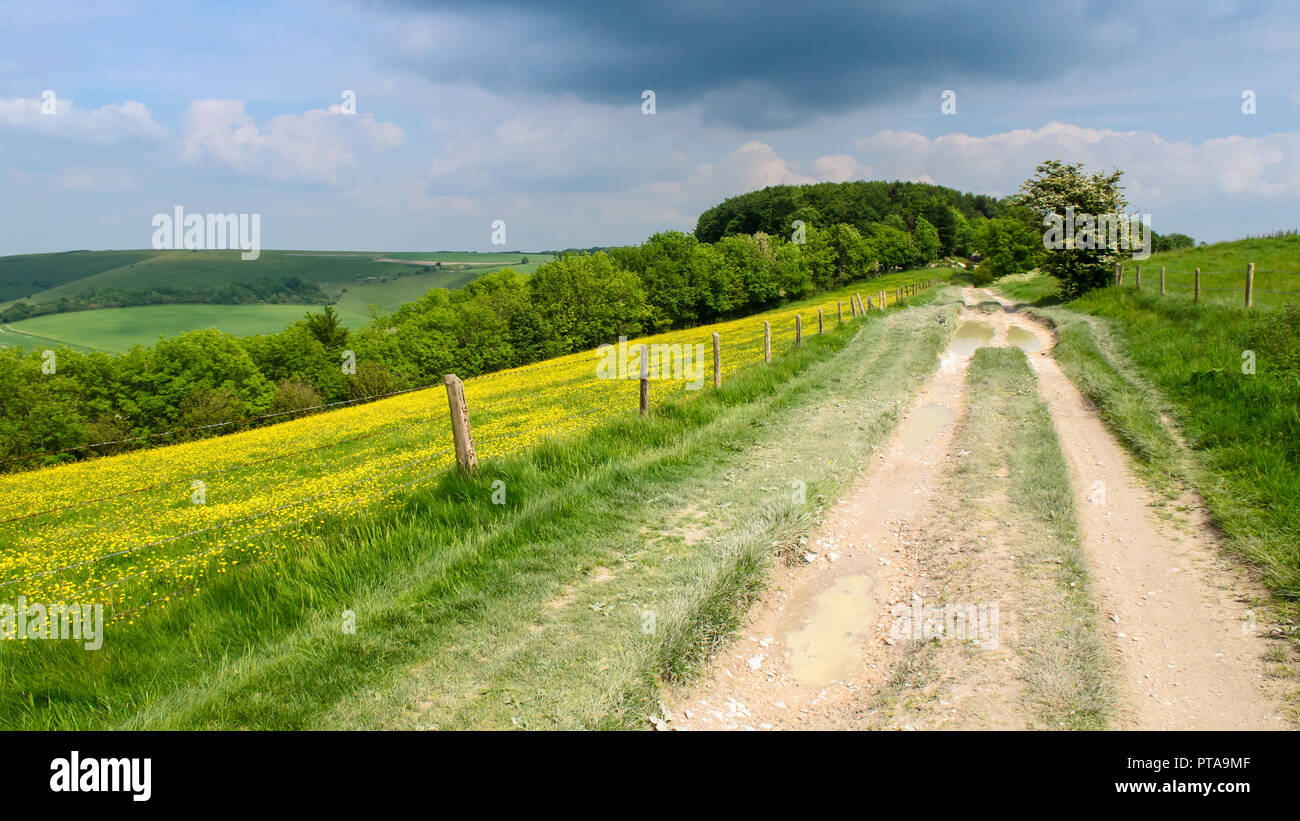 An unpaved track runs along the scarp ridgeway of the Cranborne Chase chalk hills in south west Wiltshire. Stock Photo