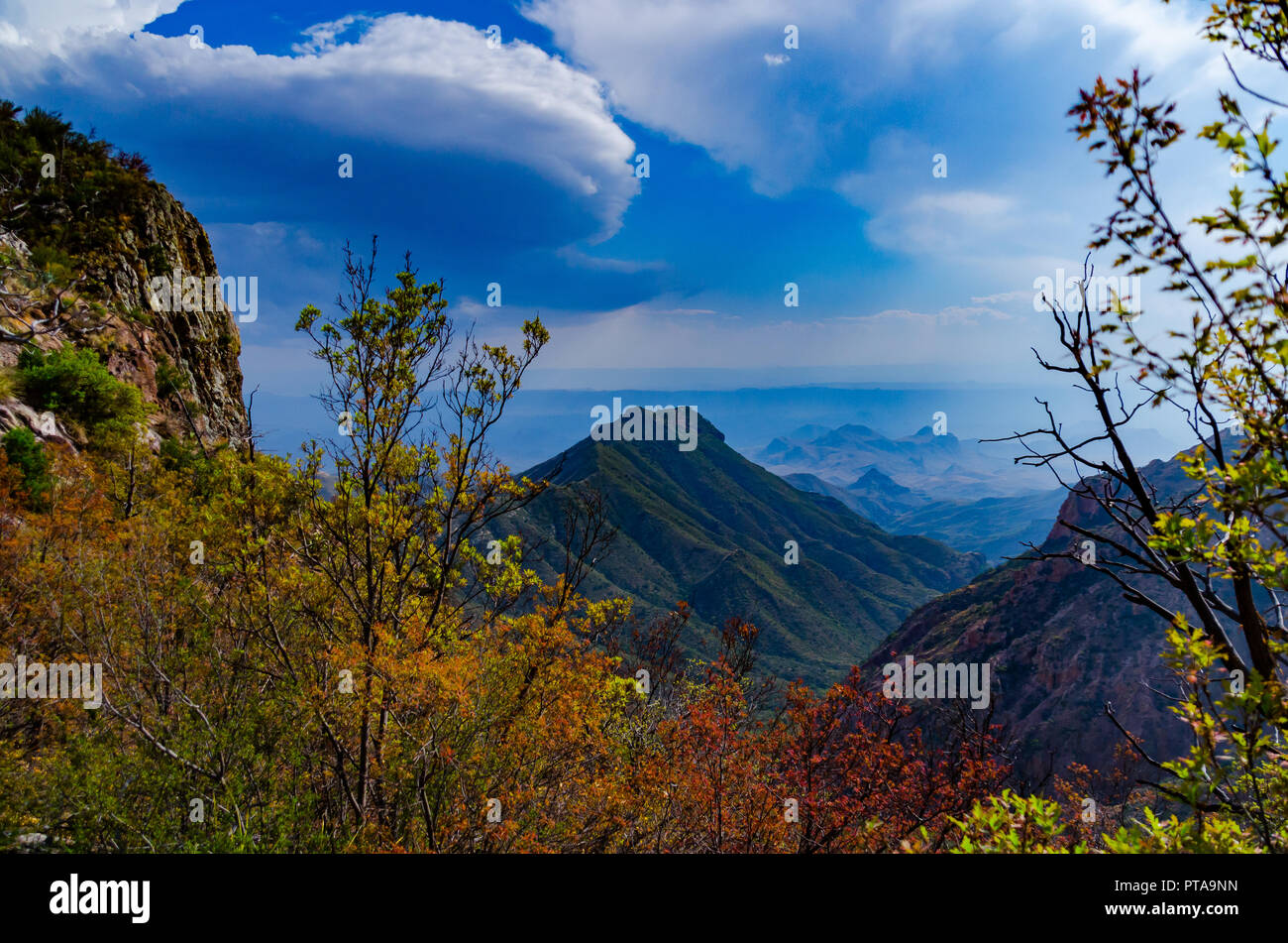 Fall Colours in the Mountains in Big Bend National Park Stock Photo