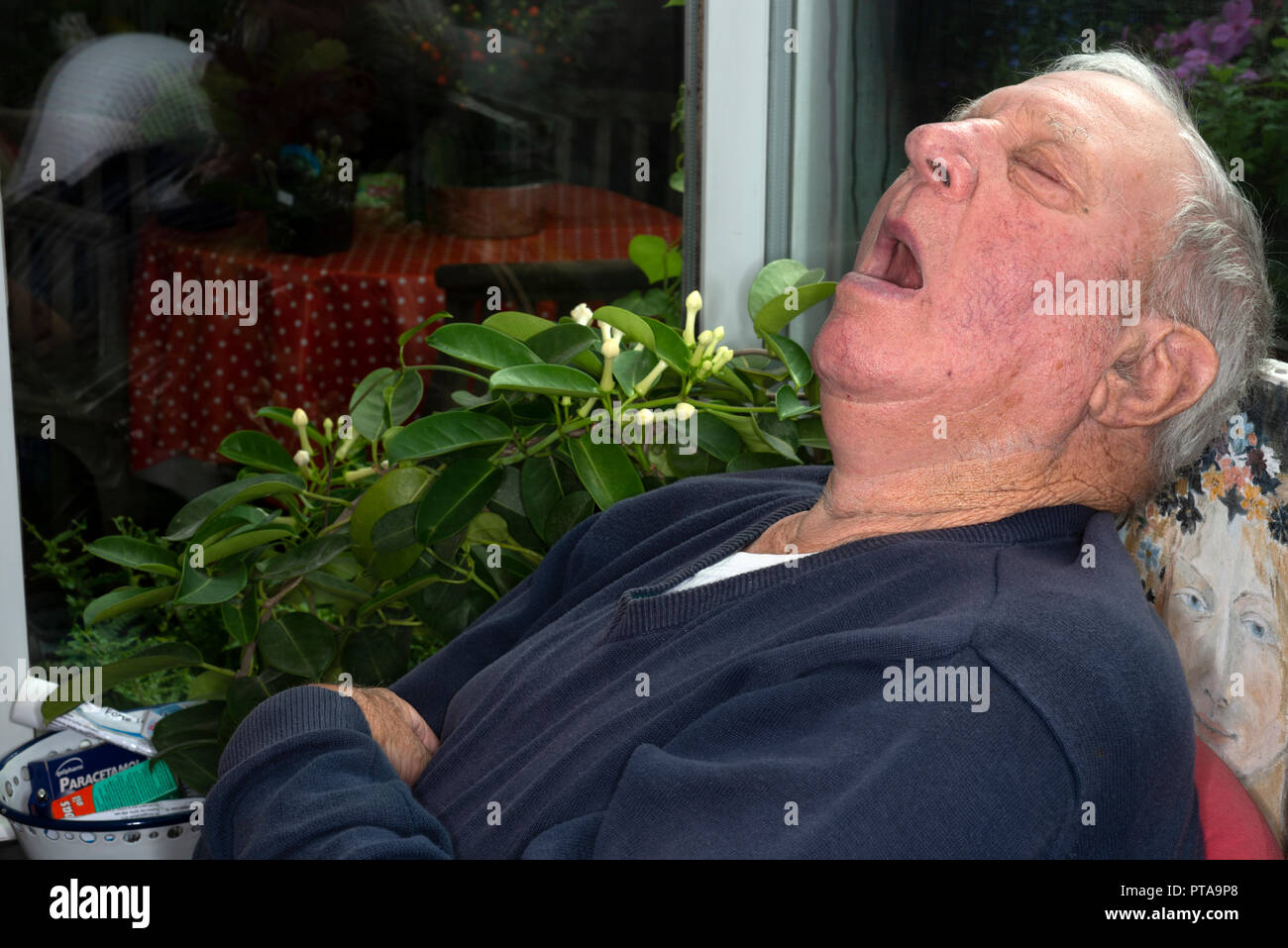 Elderly man asleep in conservatory Stock Photo