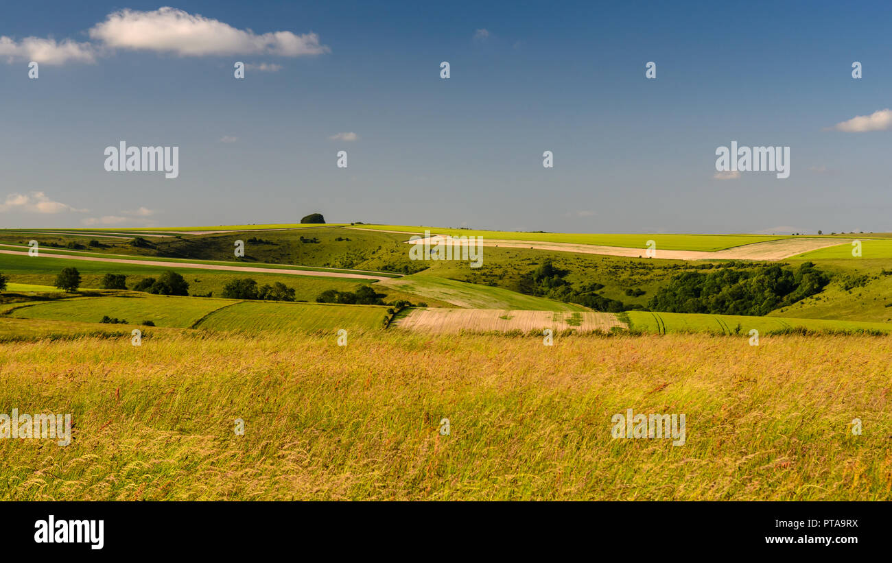 A patchwork of farmland fields and small woodland covers the rolling landscape of Cranborne Chase at Tollard Royal on the border of Wiltshire and Dors Stock Photo