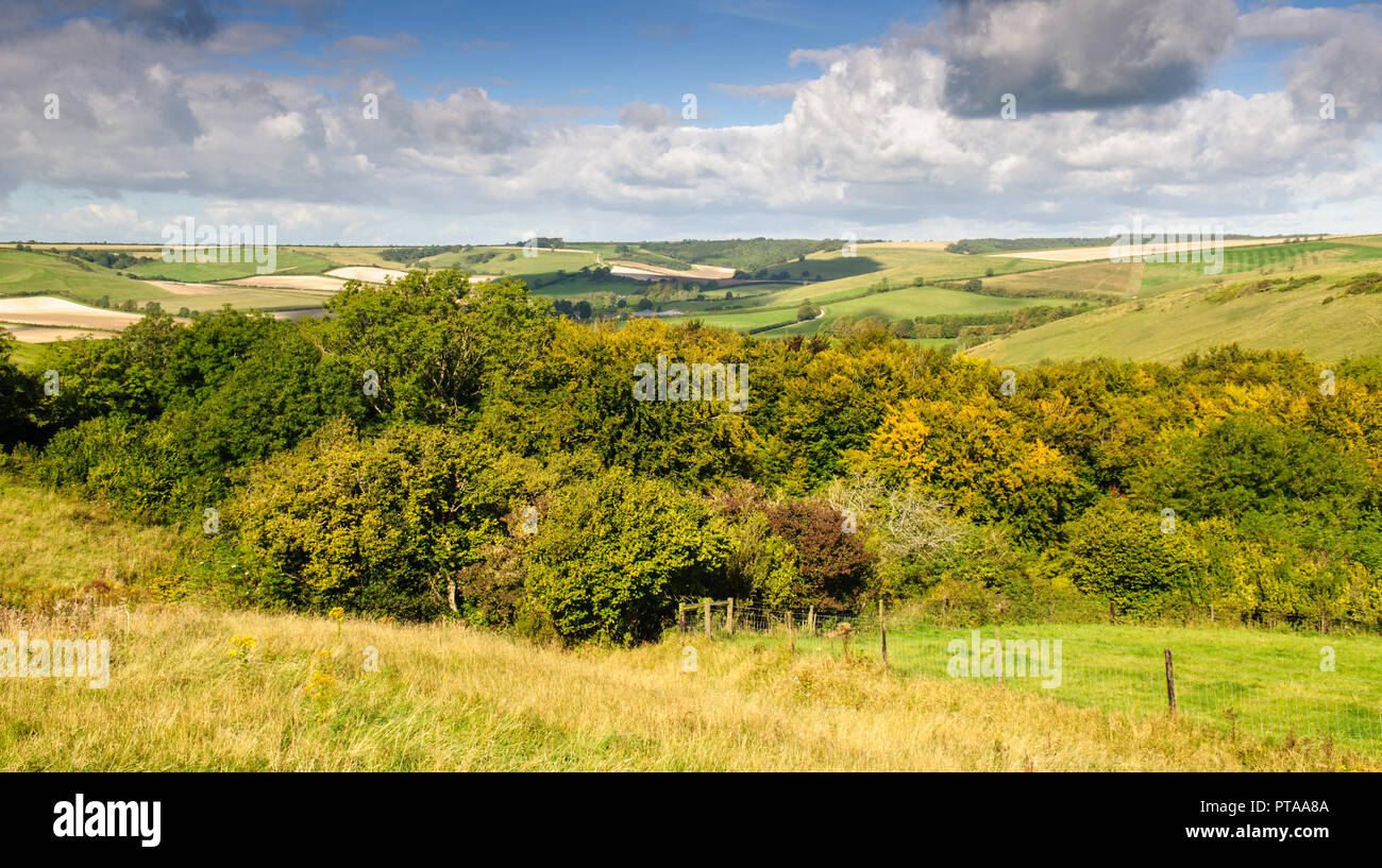 A patchwork of pasture fields and scrub woodland covers the rolling landscape of the Sydling Valley in England's Dorset Downs hills. Stock Photo