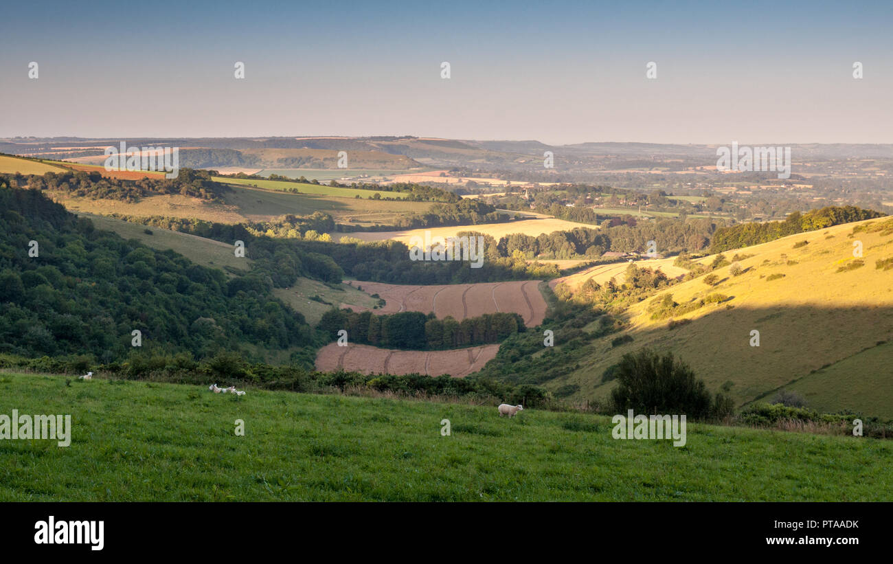 Dawn light falls on the wide agricultural valley of the Blackmore Vale under the rolling hills of the Dorset Downs and Cranborne Chase in England. Stock Photo