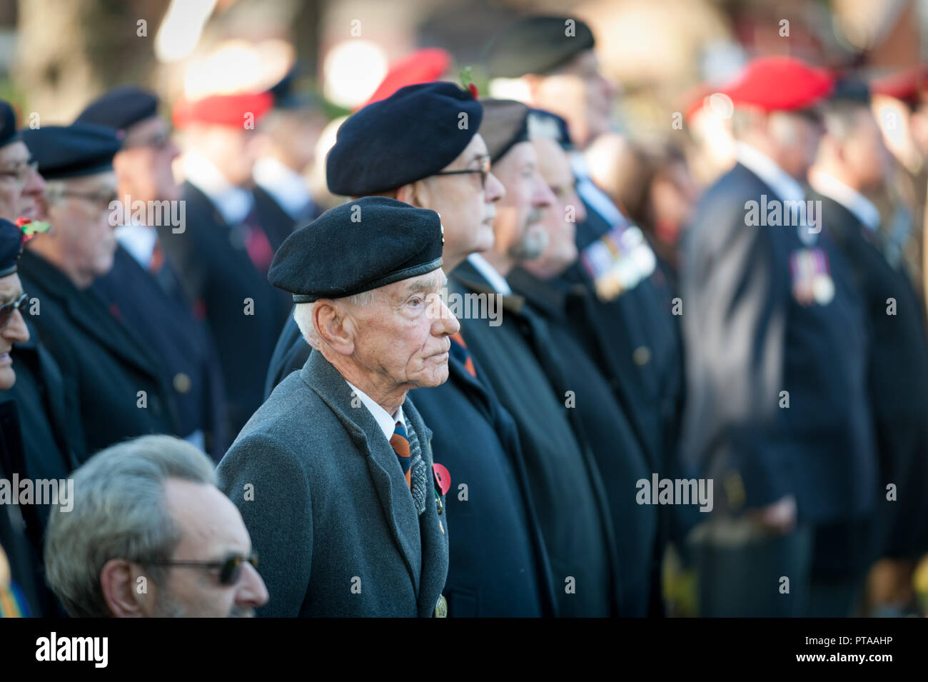 Chichester, West Sussex, UK. 12th November 2017. John White (front), aged 81 and president of the Royal Sussex Regiment Association Chichester branch, Stock Photo