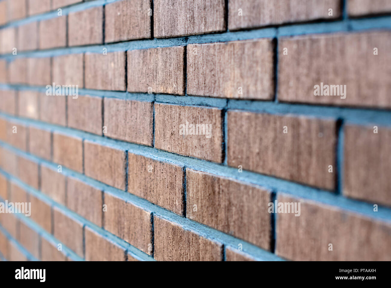 Featured image of post Brick Wall Side View Png : Download the perfect brick wall pictures.