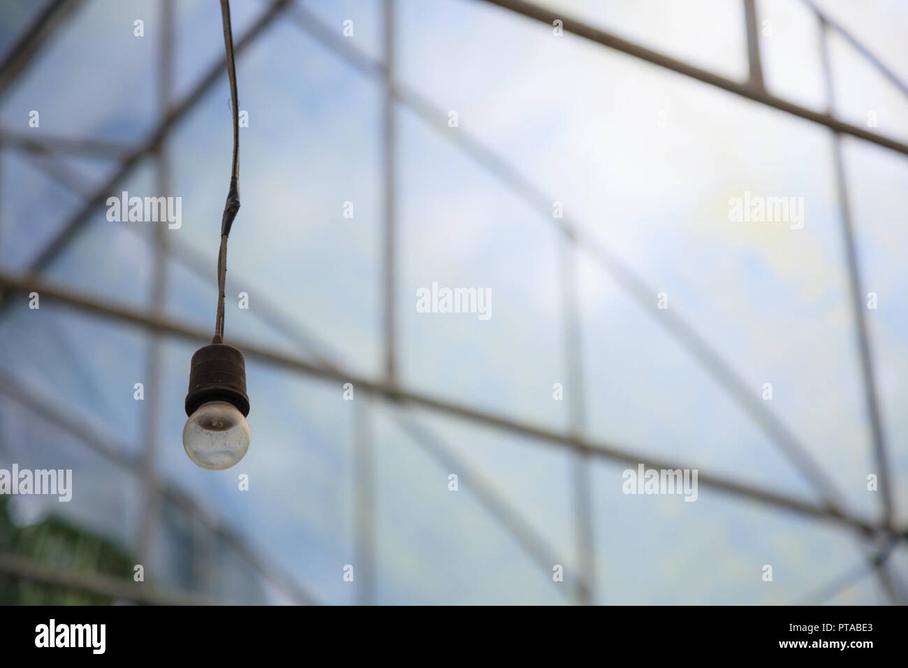 old aged hanging incandescent light bulb in the industrial agriculture greenhouse background. indoor artificial lighting equipment tool design for com Stock Photo