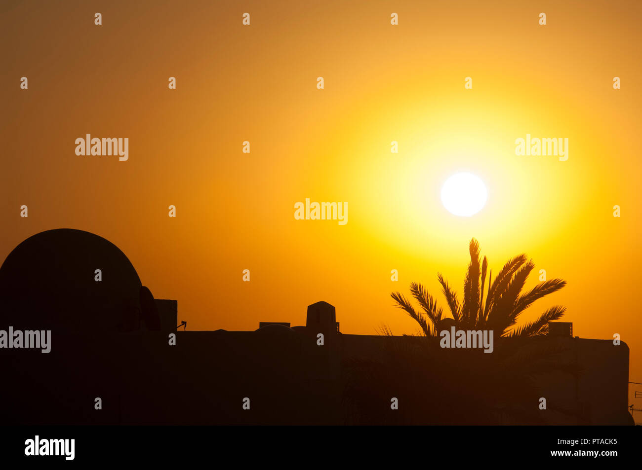 Golden sky as sun rises over the roof of a house and palm tree in ...