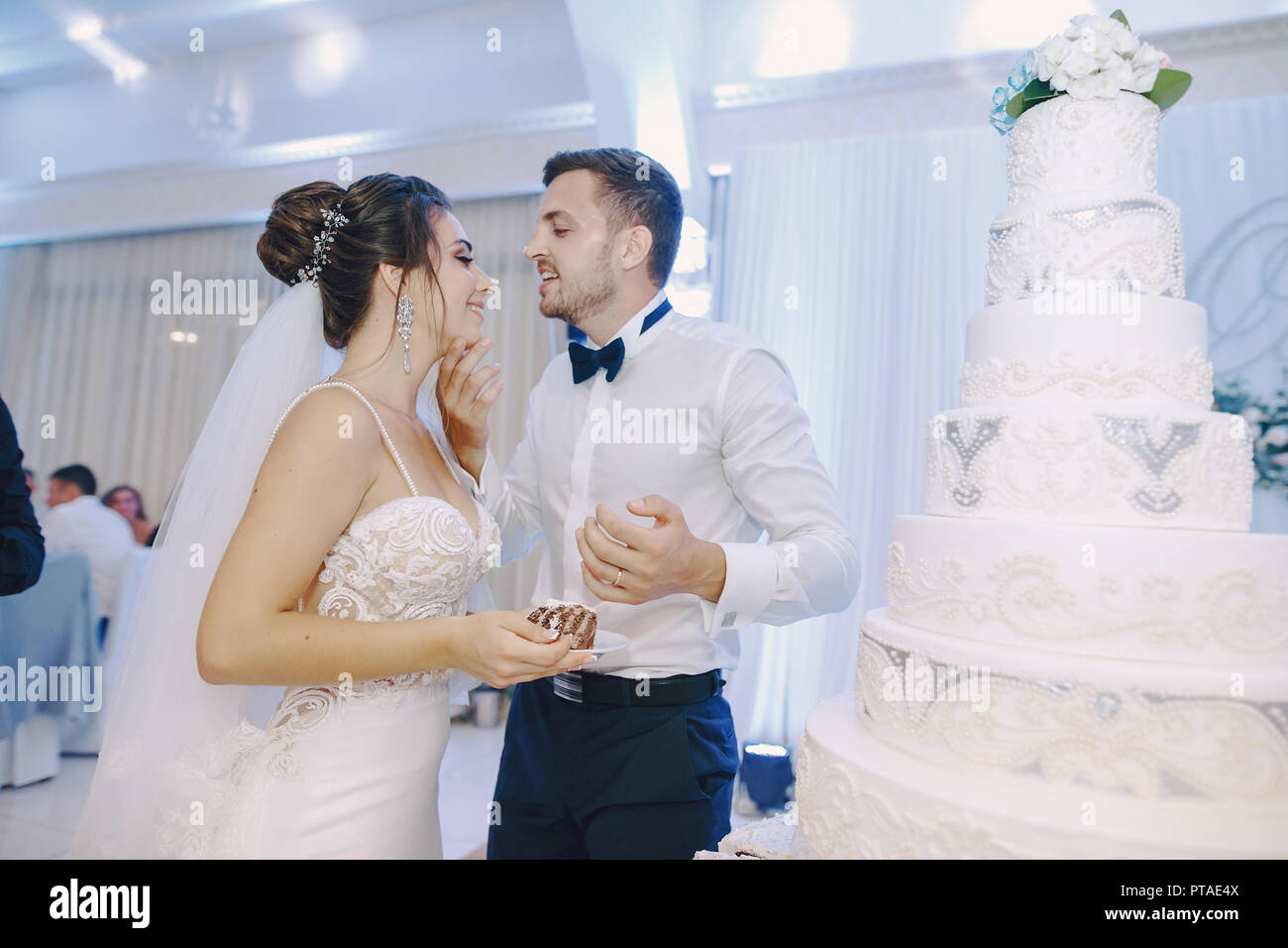 the bride cut her cake with her husband Stock Photo - Alamy