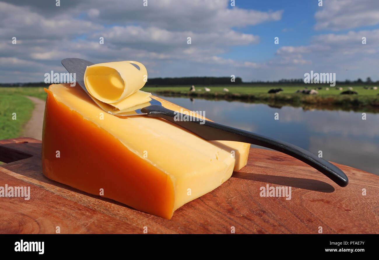 Dutch cheese on wooden plate with cows on the background Stock Photo