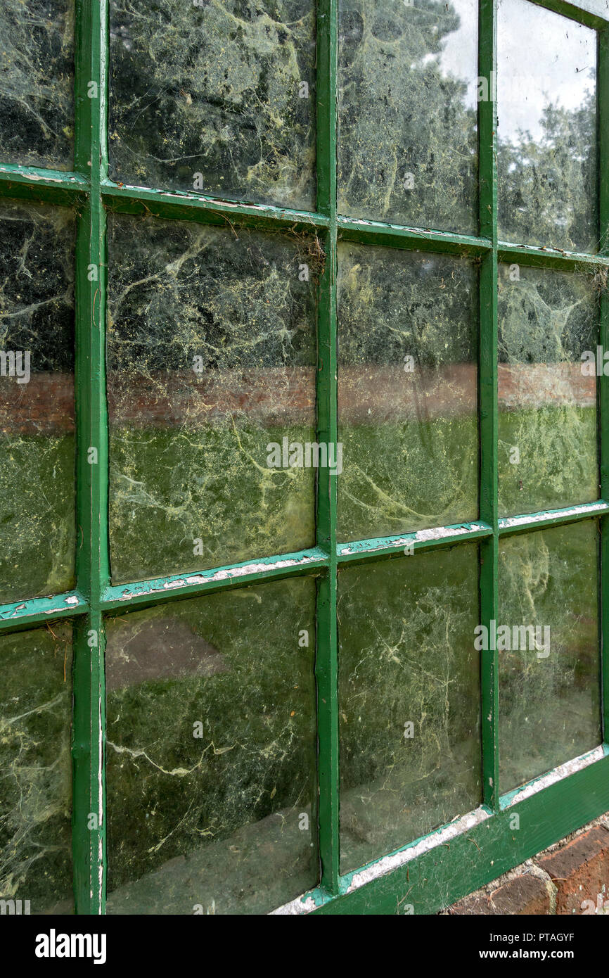 Dirty windows - old, dirty, glass window panes covered in cobwebs, spider webs, dust and dirt. Stock Photo