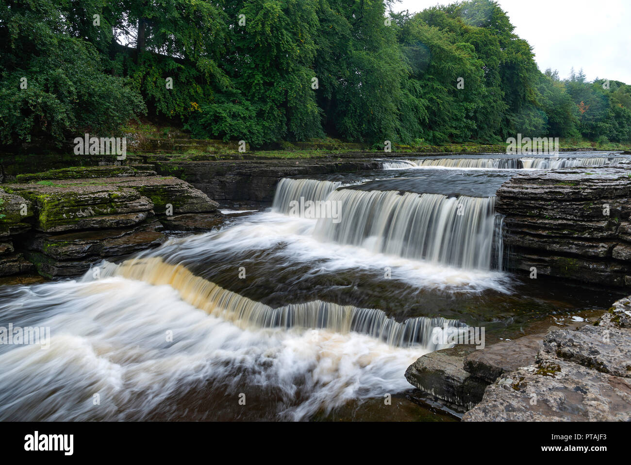 Lower Aysgarth Falls on The River Ure in Lower Wenslydale Yorkshire