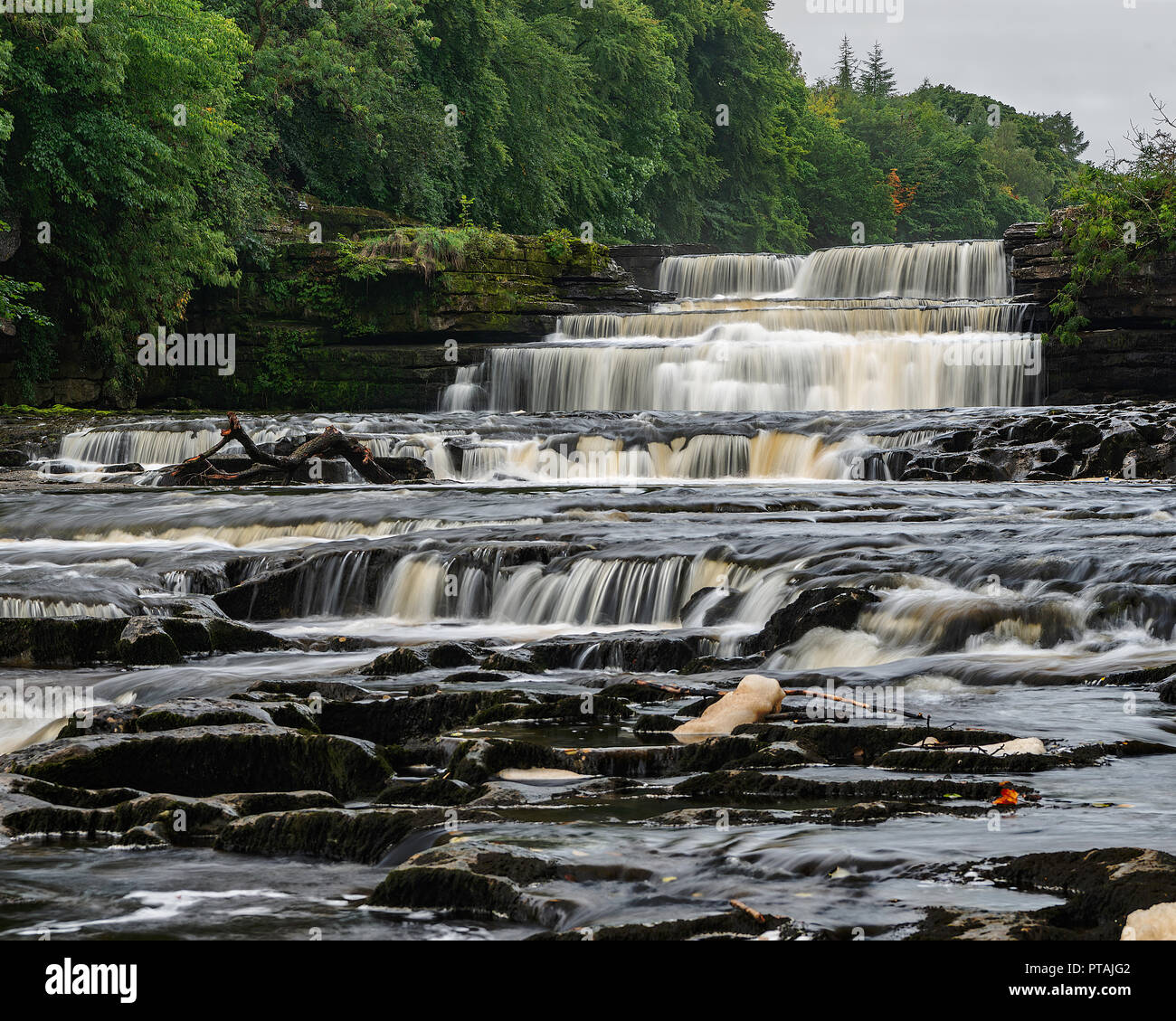 Lower Aysgarth Falls on The River Ure in Lower Wenslydale Yorkshire