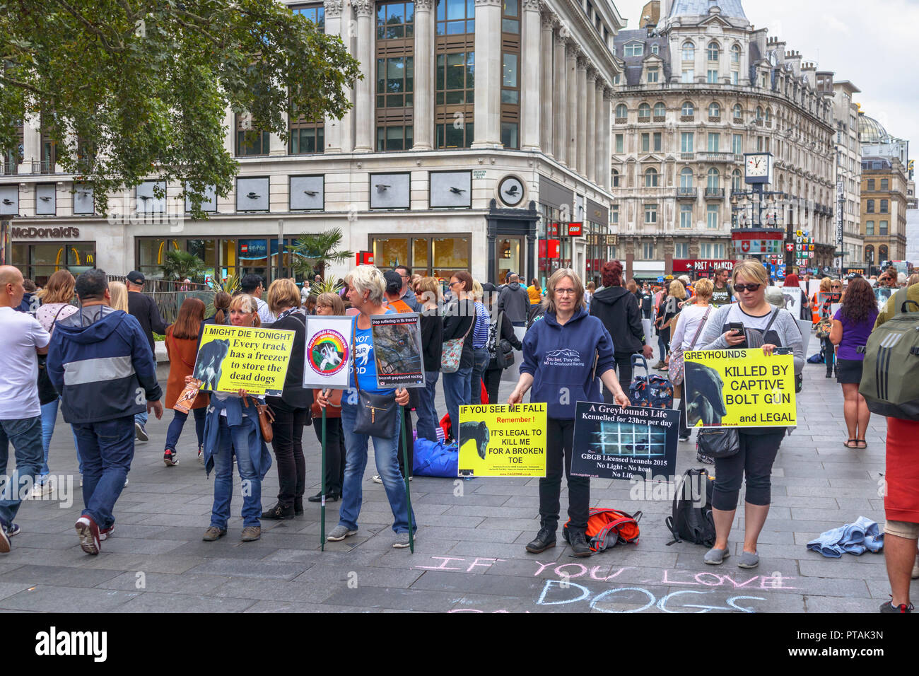 Animal canine welfare protestors holding placards in Leicester Square, West End, London WC2 in a peaceful demonstration over cruelty to greyhounds Stock Photo