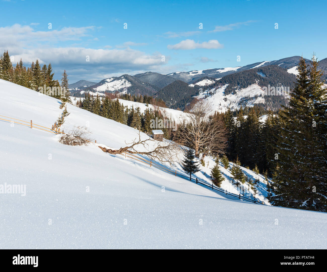 Winter  morning picturesque mountain hill top with farmstead snow covered and some withered windbreak trees (Ukraine, Carpathian Mountains, tranquilit Stock Photo