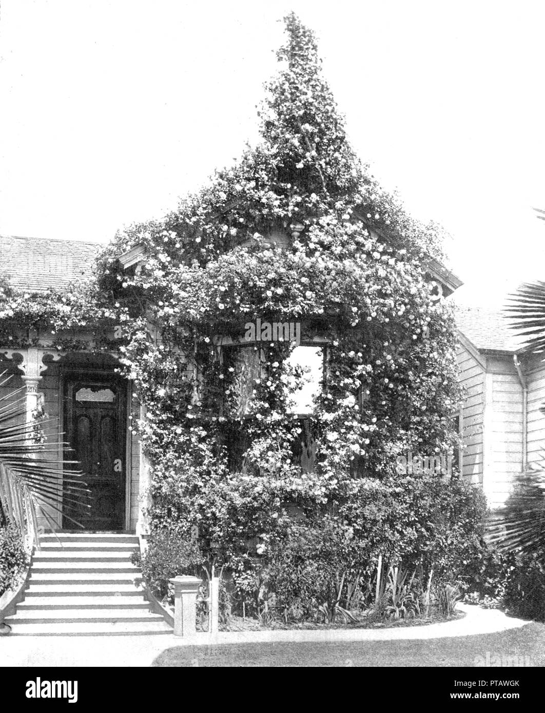Rose Cottage, South Spring Street, Los Angeles, California, USA, c1900. Creator: Unknown. Stock Photo