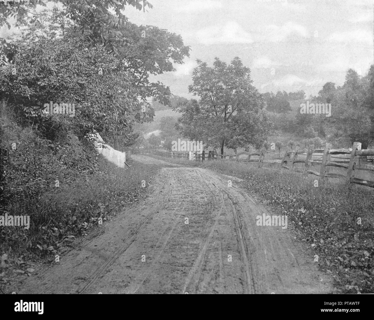 Road Alongside the Brandywine, Pennsylvania, USA, c1900.  Creator: Unknown. Stock Photo