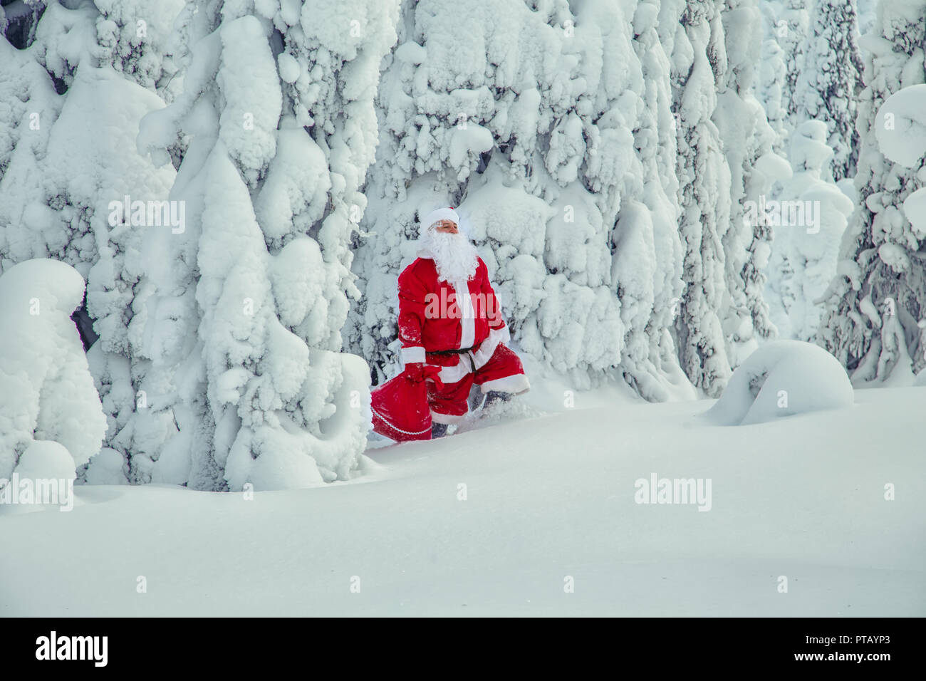 Authentic Santa Claus in Lapland. Magnificent snow-covered landscape. Stock Photo