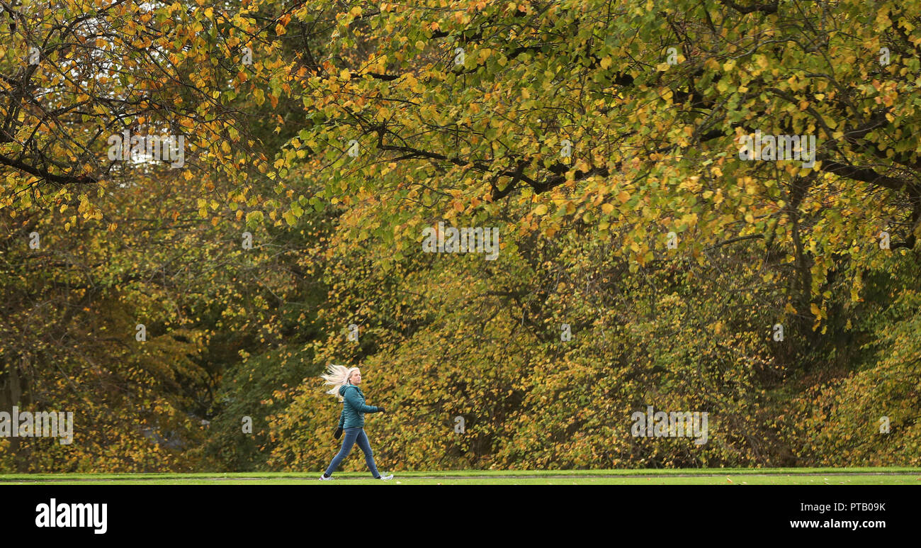 A woman walks in the grounds of Stormont Estate, Belfast. Stock Photo