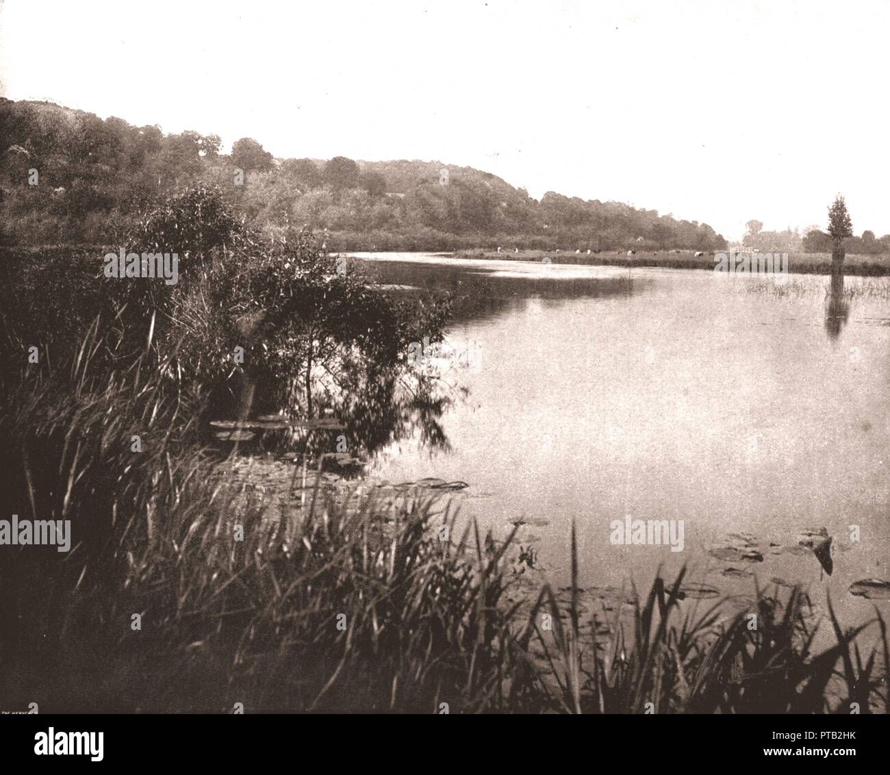Hurley Reach, River Thames between Bisham and Medmenham, Buckinghamshire, 1894. Creator: Unknown. Stock Photo