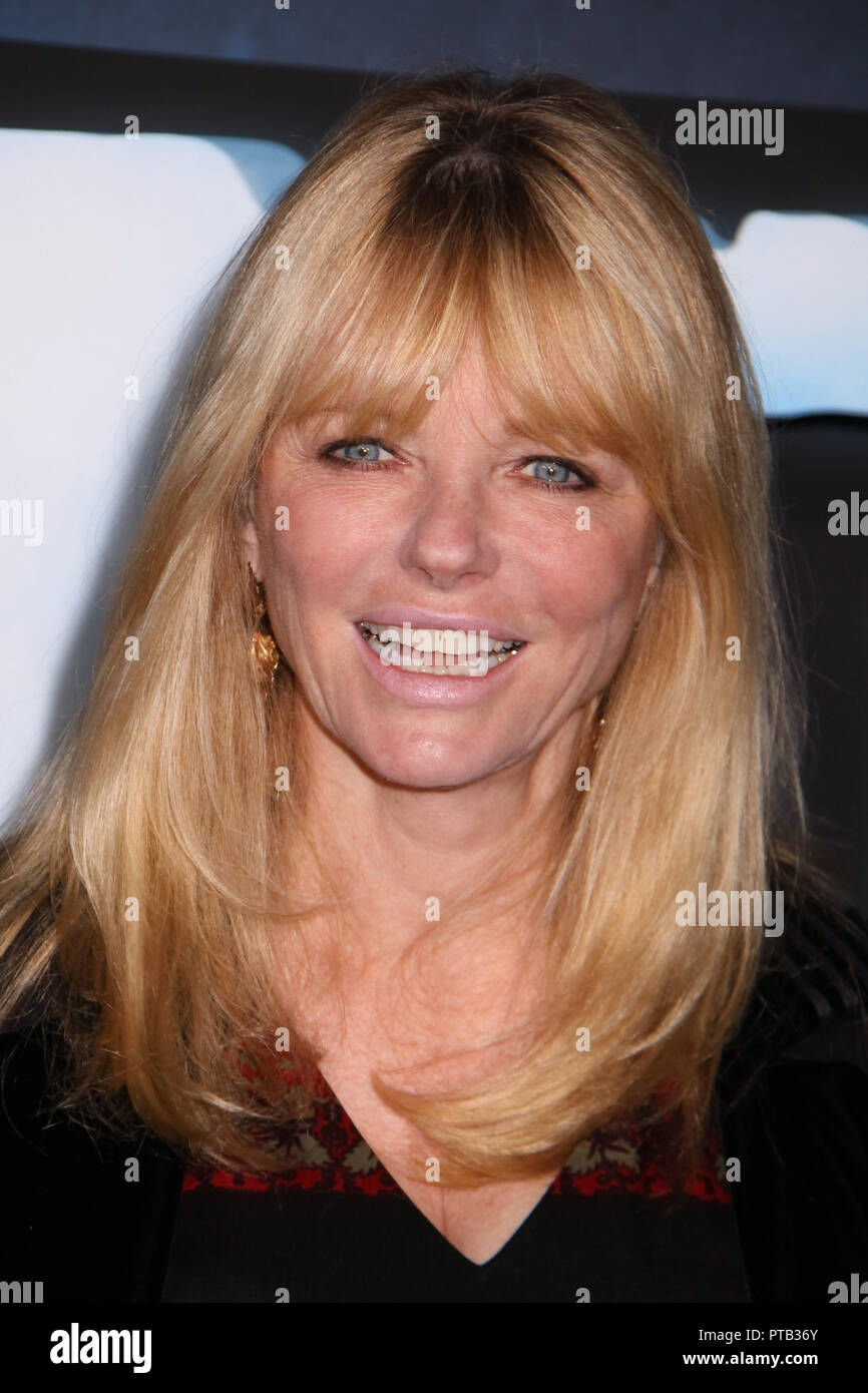 Cheryl Tiegs  12/16/09 'Avatar' Premiere  @  Grauman's Chinese Theater, Hollywood Photo by Megumi Torii/HNW / PictureLux   File Reference # 33680 116HNW Stock Photo