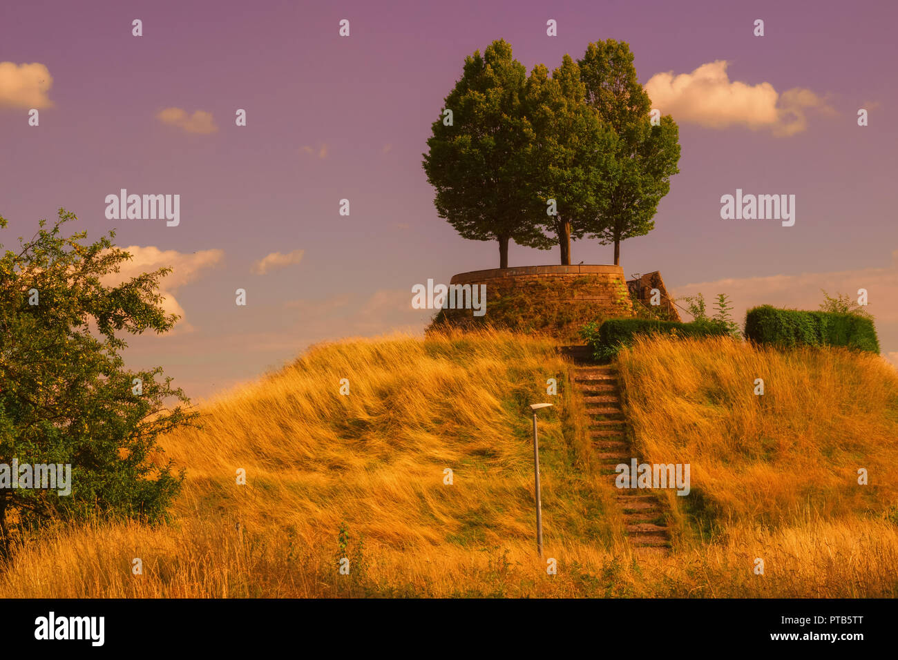 Quiet peaceful part public hi-res stock photography and images - Alamy