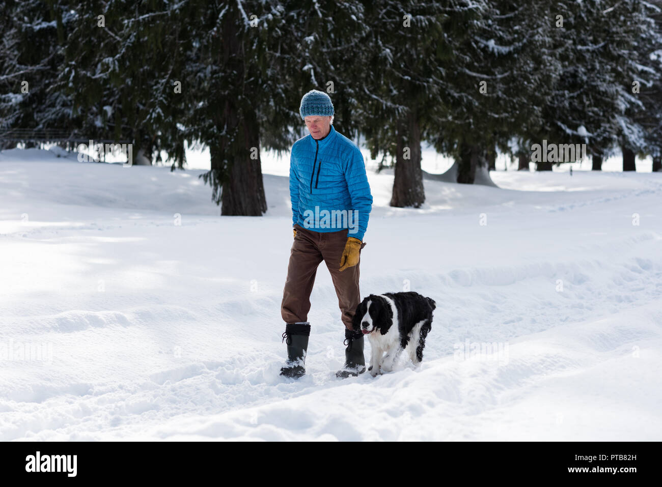 Senior man walking with his dog in snowy landscape Stock Photo - Alamy