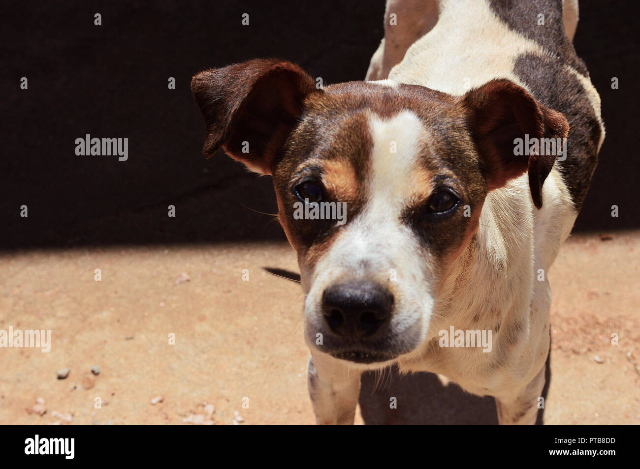 Look to camera hires stock photography and images Alamy