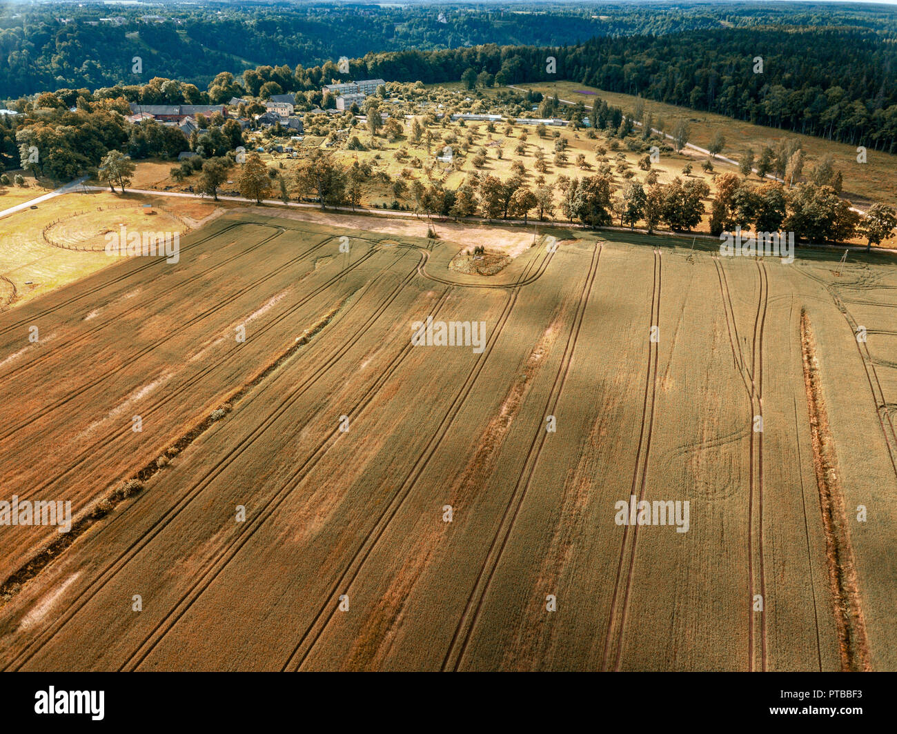 drone image. aerial view of rural area with green cultivated fields in ...