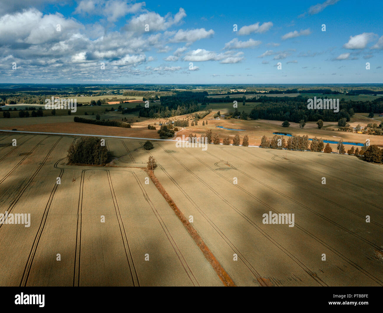 drone image. aerial view of rural area with green cultivated fields in ...