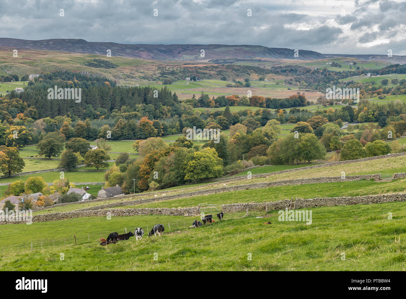 North Pennines AONB landscape, view into Upper Teesdale from Newbiggin, County Durham, UK, in autumn Stock Photo