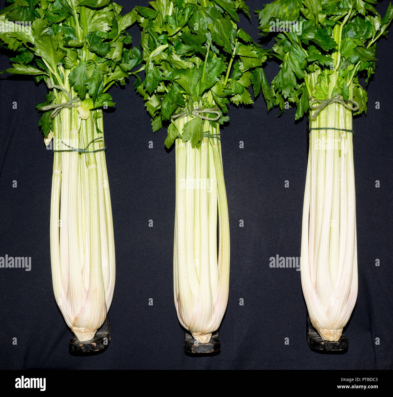 3 heads of celery on a black background Stock Photo Alamy