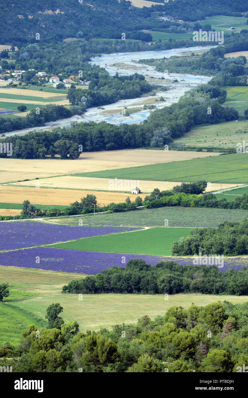 High-Angle or Aerial View of Wheat and Lavender Field Patterns in the Asse Valley Shot from the Valensole Plateau Provence France Stock Photo