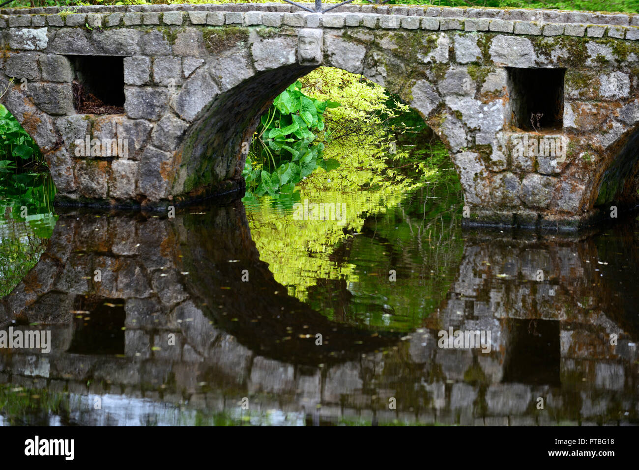 Stone,arch,bridge,perfect,reflection,frame,framed,lake,pond,altamont gardens,carlow Stock Photo