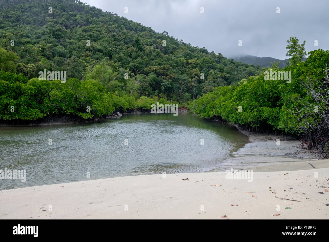 Hinchinbrook Island The Thorsborne Trail Zoe Bay Stock Photo Alamy