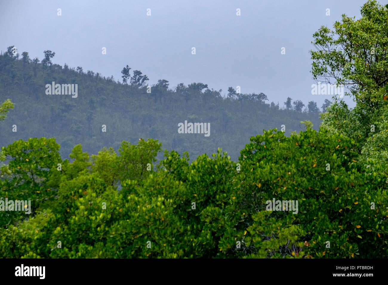 Hinchinbrook Island The Thorsborne Trail Zoe Bay Stock Photo Alamy