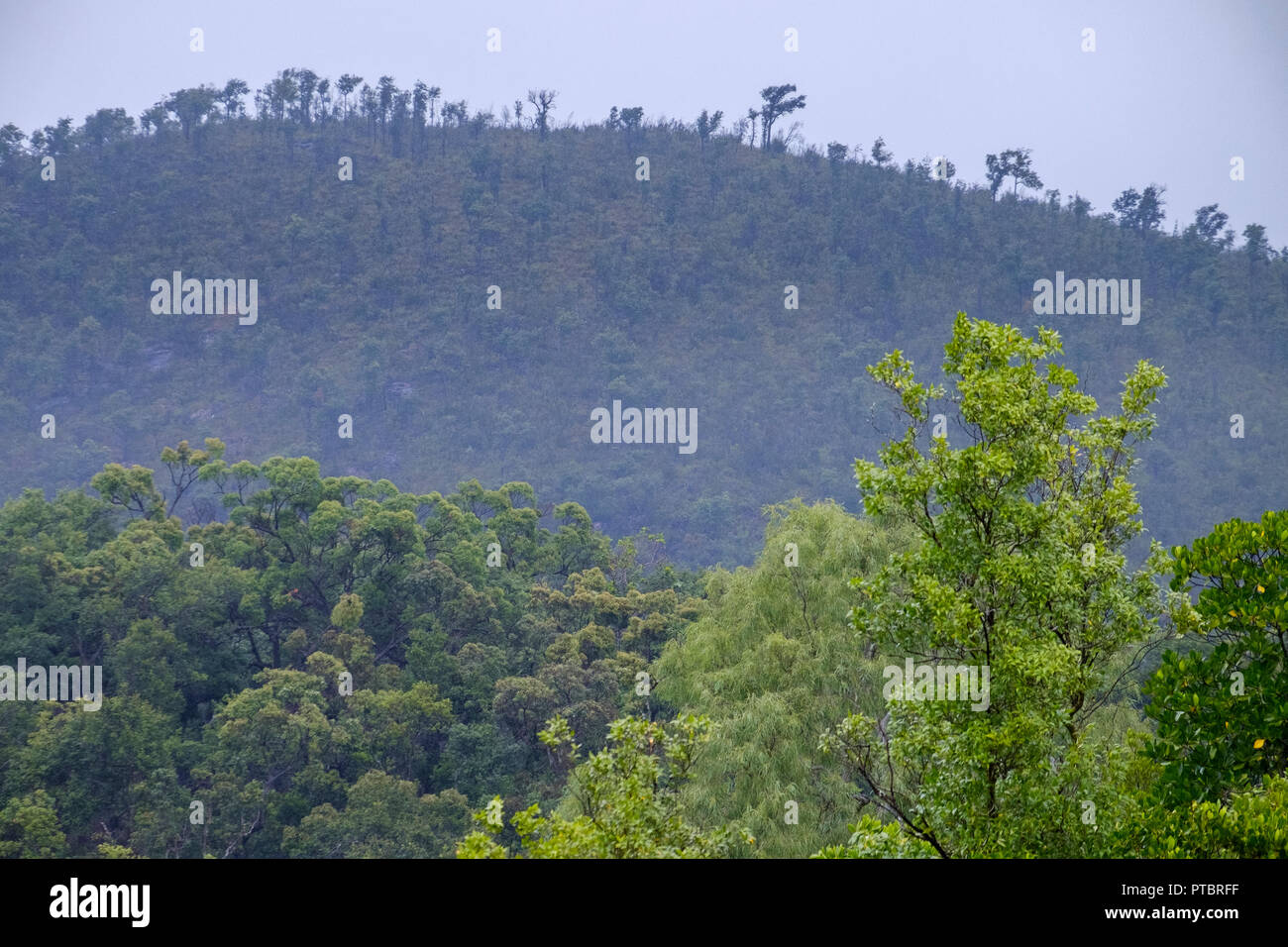Hinchinbrook Island The Thorsborne Trail Zoe Bay Stock Photo Alamy