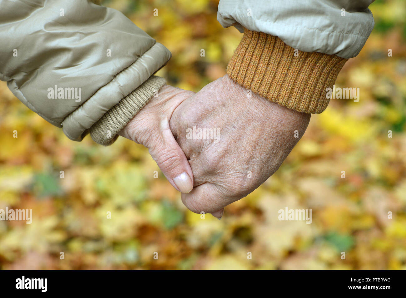 Elderly couple holding hands in autumn park close up Stock Photo - Alamy