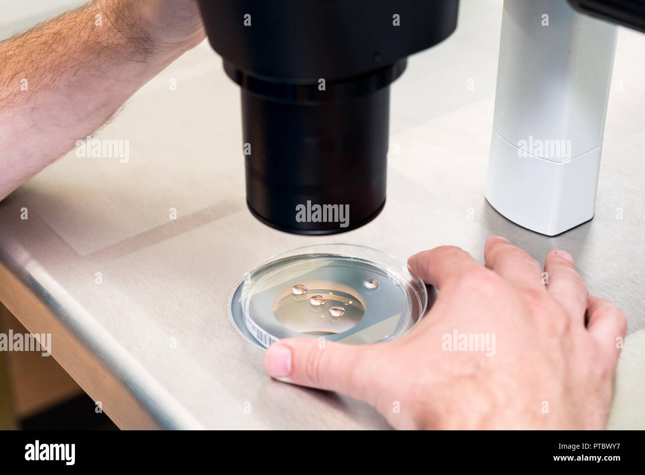 Embryologist or lab technician adjusting needle to fertilize a human