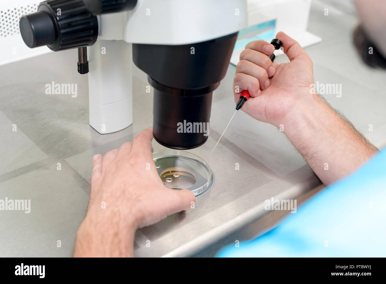 Embryologist or lab technician adjusting needle to fertilize a human