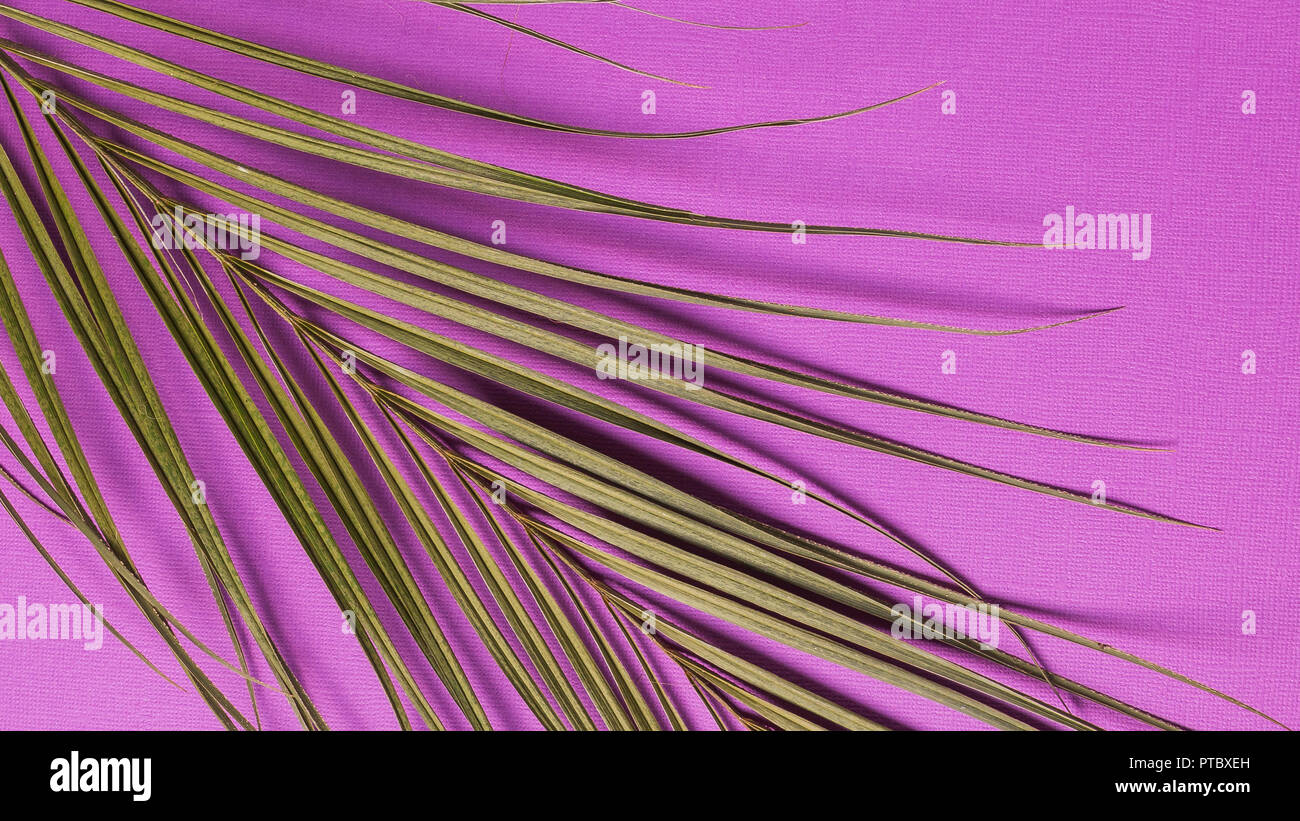Minimalism Style Banner Branch Of Natural Plant Over Abstract