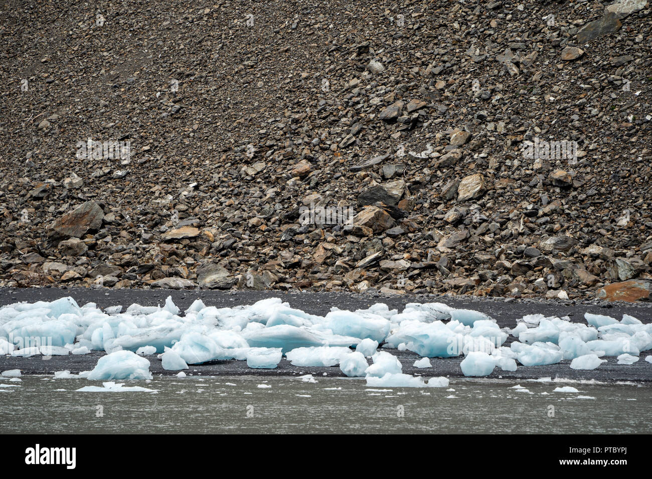 Small iceburgs and ice chunks sit near the rocky shoreline of Kenai Fjords National Park in Aaliak Bay Stock Photo