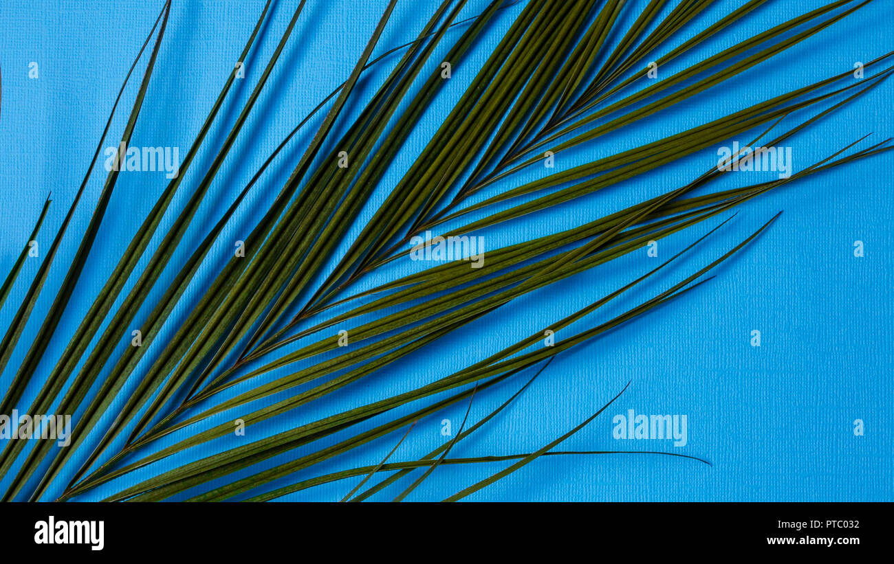 Minimalism Style Banner Branch Of Natural Plant Over Abstract