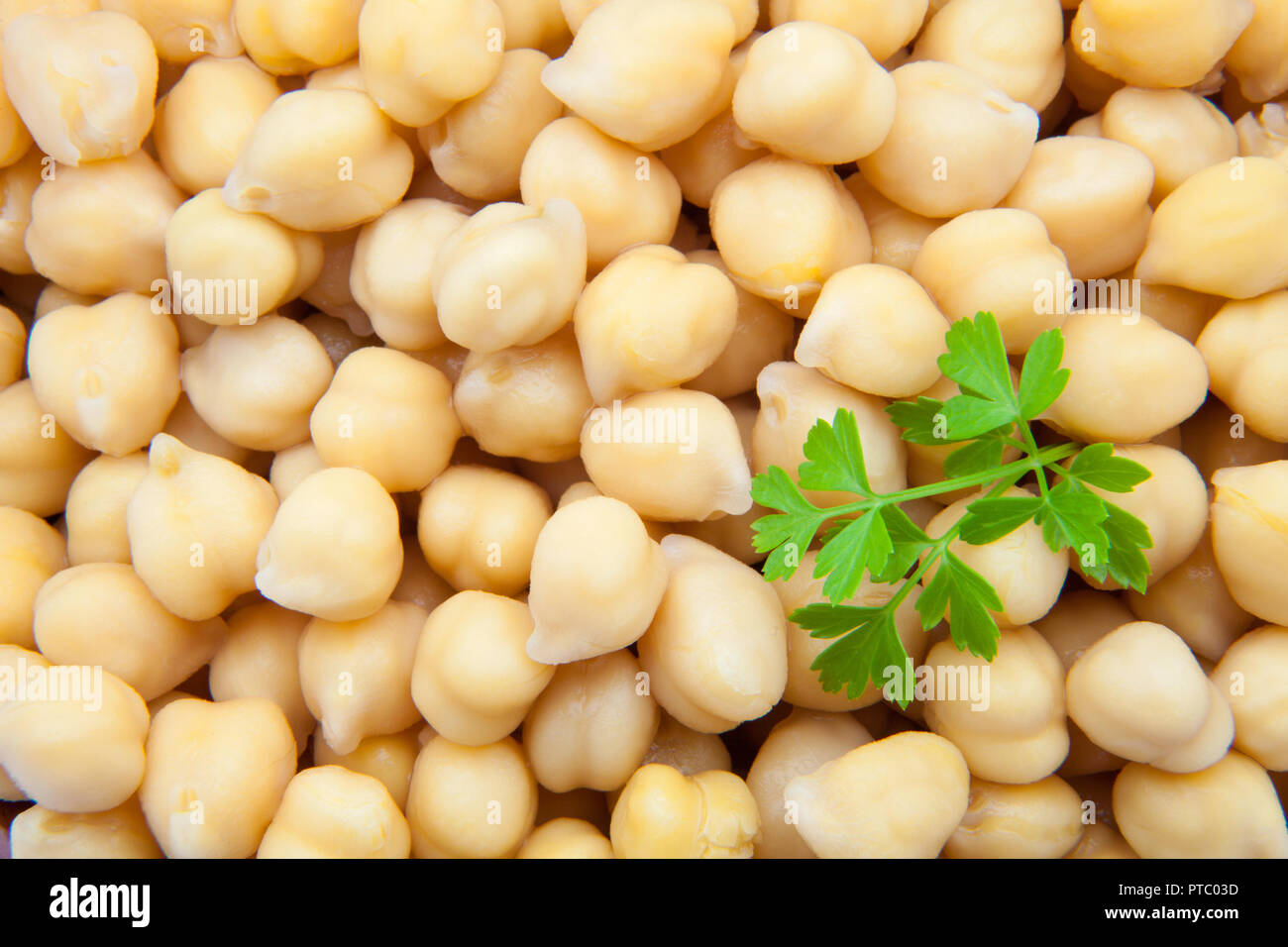 chick-peas newly cooked with parsley Stock Photo